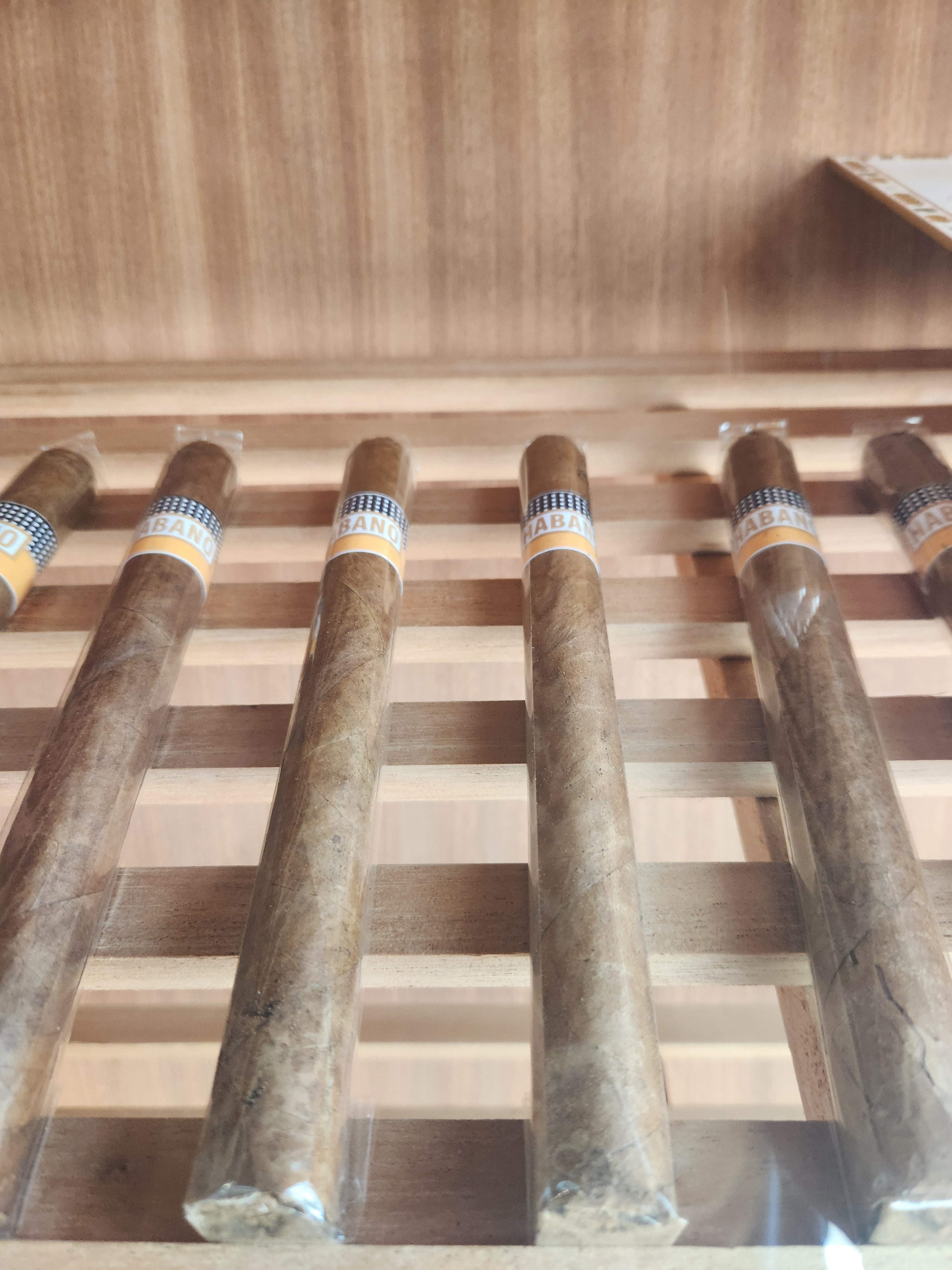 Single cigars resting in the cedar racks of the humidor at Prestigia Smoke Shop.